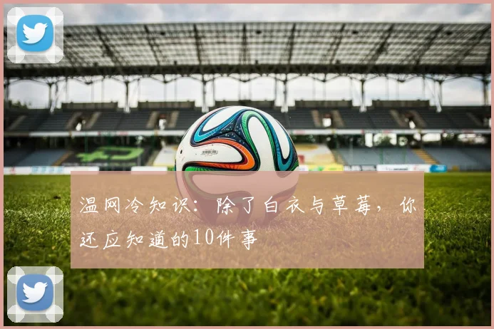 温网冷知识：除了白衣与草莓，你还应知道的10件事