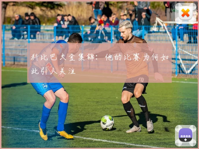 科比巴夫金集锦：他的比赛为何如此引人关注